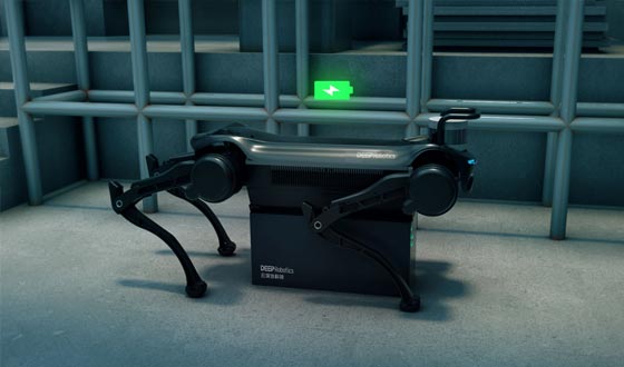 The first domestic quadruped robot with autonomous self-charging.